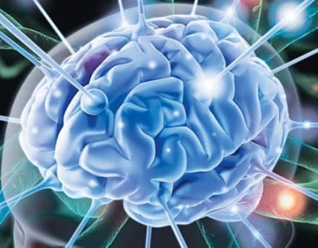 Các nhà nghiên cứu đã tìm thấy khu vực não bộ chứa cảm giác căng thẳng