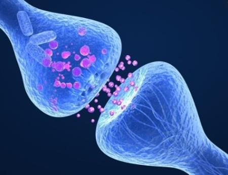 Giải câu đố về bệnh Parkinson thông qua thiết kế protein