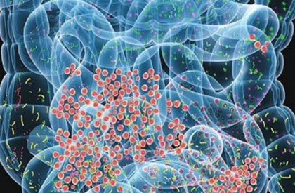 Liên kết ruột-não mới: Làm thế nào chất nhầy của ruột có thể giúp điều trị rối loạn não