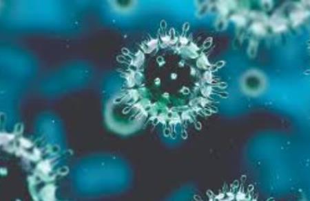 Miễn dịch suốt đời của con người phụ thuộc vào APRIL