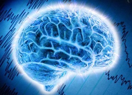 Nghiên cứu não làm sáng tỏ các cơ chế phân tử của trầm cảm