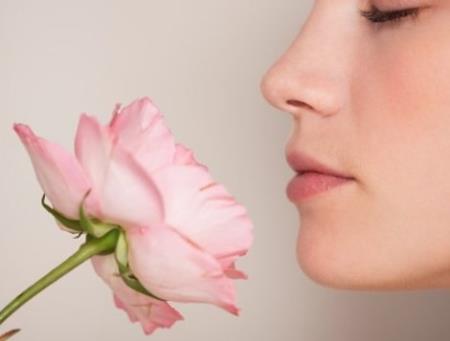 Các nhà khoa học giải mã làm thế nào não bộ cảm nhận được mùi