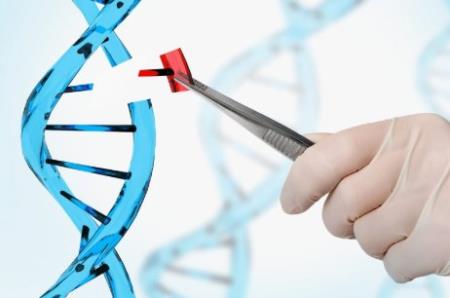 CRISPR kích hoạt bằng ánh sáng chỉnh sửa gen chính xác và sửa chữa DNA siêu nhanh