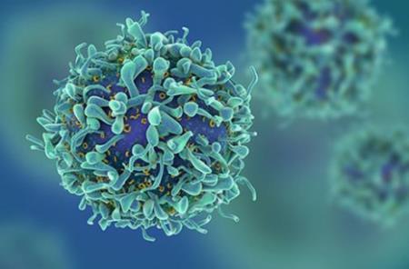 Tế bào ung thư gây viêm để tự bảo vệ khỏi virus