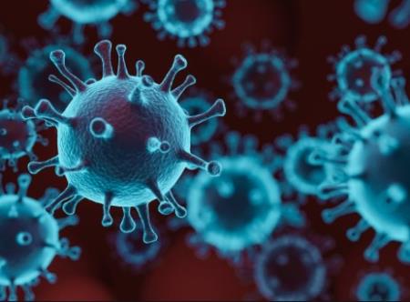 Virus hô hấp tạo ra 'chuông cửa' để lừa đường vào tế bào