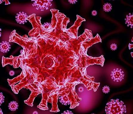 Theo nghiên cứu cho thấy virus COVID-19 xâm nhập vào não