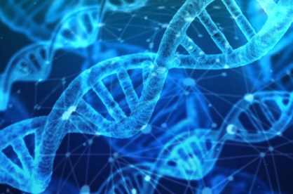 Các vùng DNA trong não góp phần tạo nên loài người chúng ta