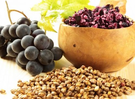 Hạt nho có nhiều công dụng cho sức khỏe