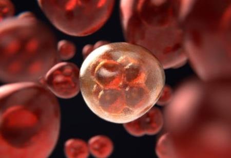 Hợp chất mới ngăn chặn quá trình đọc thông tin di truyền trong ti thể để tiêu diệt các tế bào ung thư.