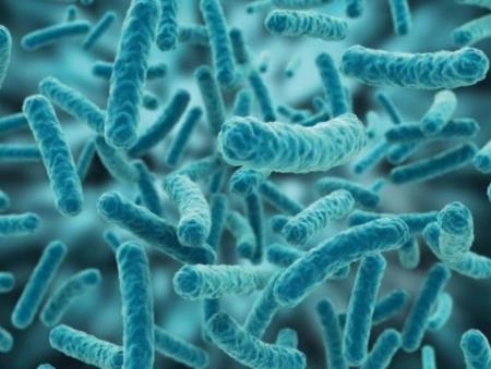 Vi khuẩn đường ruột có nguy cơ gây ung thư vú