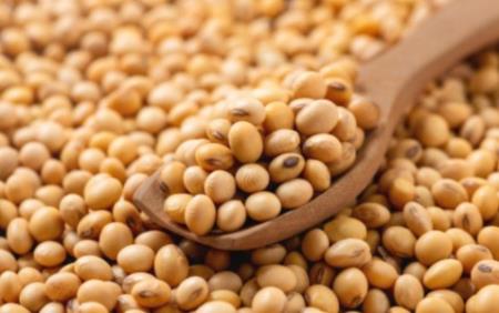 Thực phẩm giúp hạ mỡ máu tốt nhất