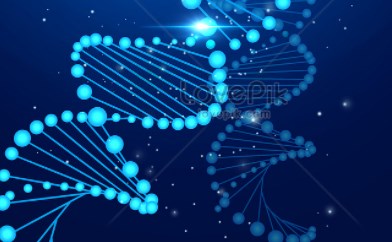 Điều gì tạo nên con người chúng ta? Câu trả lời có thể được tìm thấy trong DNA bị bỏ qua