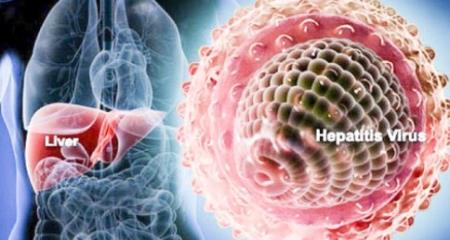 Mười thiên niên kỷ về sự tiến hóa của virus viêm gan B