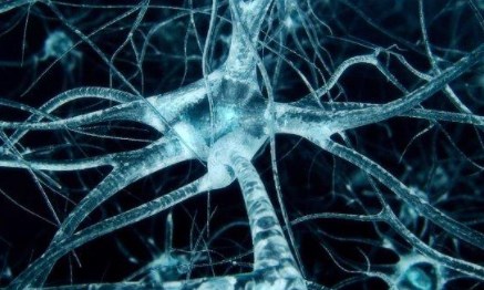 Các nhà khoa học thần kinh phát hành tập bản đồ toàn diện đầu tiên của tế bào não