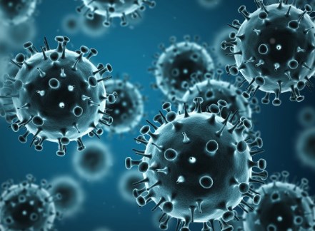 Nghiên cứu cho loại vắc xin chống lại nhiều loại vi rút cúm 