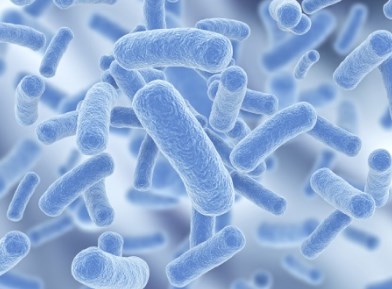 Probiotics cải thiện tình trạng buồn nôn và nôn trong thai kỳ