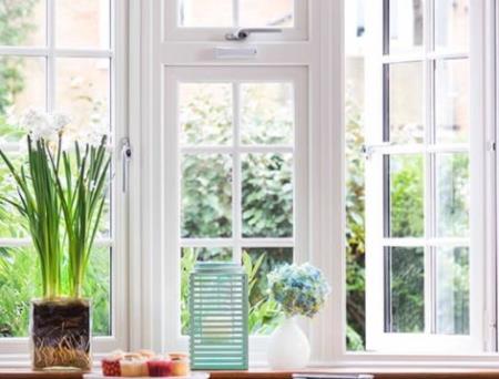 Ánh sáng Mặt Trời sẽ làm giảm lượng vi khuẩn có trong nhà