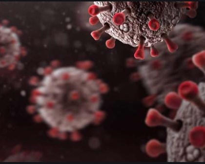 Hệ thống y tế Bồ Đào Nha hoàn toàn quá tải do COVID-19