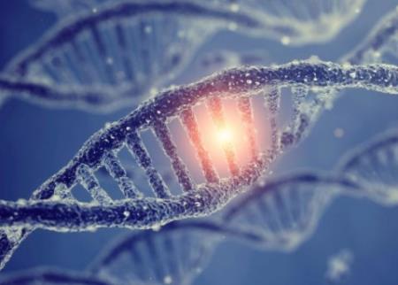 Làm thế nào một sự thay đổi gen đơn lẻ có thể đã tách con người hiện đại khỏi những họ hàng trước đó