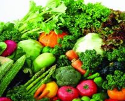 Virus SARS-CoV-2 có lây qua đường thực phẩm, hàng hoá không