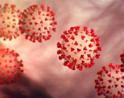 Cách SARS-CoV-2 đột biến để tránh các phản ứng miễn dịch