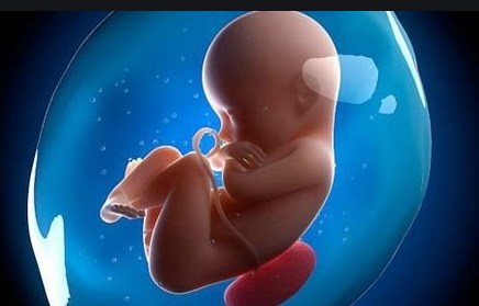 Âm thanh ảnh hưởng đến não bộ đang phát triển rất sớm