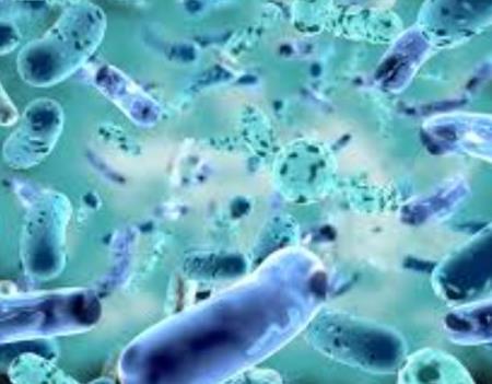 Các nhà khoa học xác định hơn 140.000 loài vi rút trong ruột người