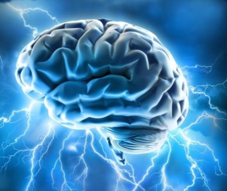 Làm thế nào con người phát triển bộ não lớn hơn các loài vượn khác