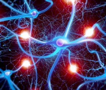 Các siêu cấu trúc phân tử 'đi bộ' có thể giúp tạo ra các tế bào thần kinh cho y học tái tạo