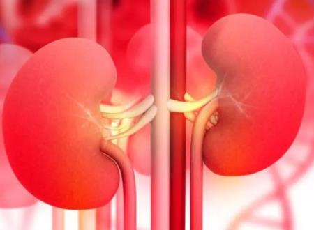 Người thận yếu thường có các đặc điểm rất dễ nhận biết sau