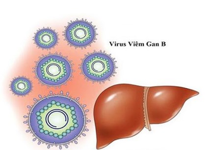 Nhiễm virus viêm gan B có ảnh hưởng khả năng sinh con?