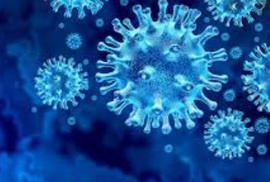 Các nhà nghiên cứu đã chứng minh rằng nhiễm trùng SARS-CoV-2 tạo ra các kháng thể đa chức năng