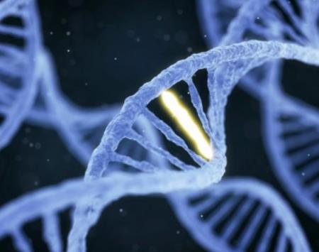 Nhiên cứu di truyền ở Nam Thái Bình Dương: Từ người Denisovan đến phản ứng miễn dịch của con người