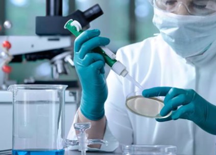 Làm sáng tỏ bí mật của một tế bào miễn dịch quan trọng đối với khả năng miễn dịch ung thư