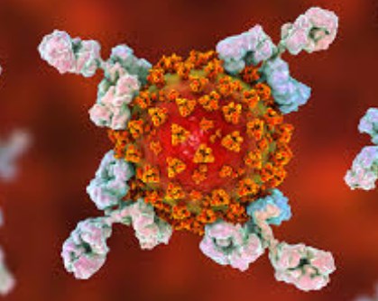 Nhiệt độ cao sẽ vô hiệu hóa SARS-CoV-2 trong vòng chưa đầy một giây, nghiên cứu cho thấy