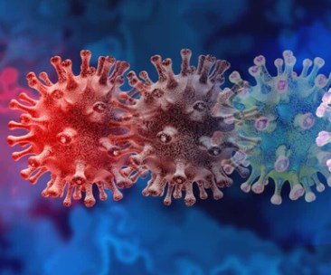 Biến thể đột biến kép từ Ấn Độ là biến thế dễ lây lan nhất hành tinh?