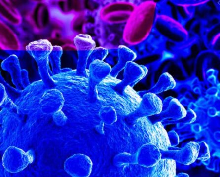 Thế giới sẽ đối mặt với đại dịch khác nếu không tìm ra nguồn gốc Covid-19