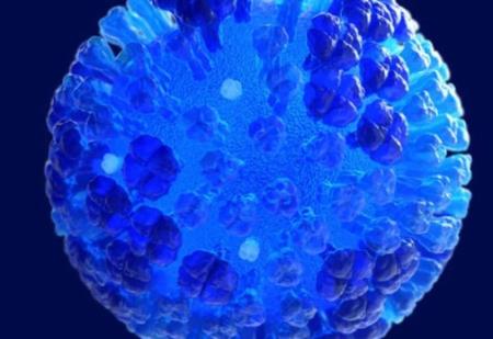 Cuộc chiến với Covid-19 khiến một số chủng cúm biến mất