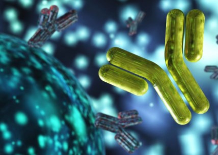 Thuốc kháng thể mới đánh thức hệ thống phòng thủ của cơ thể