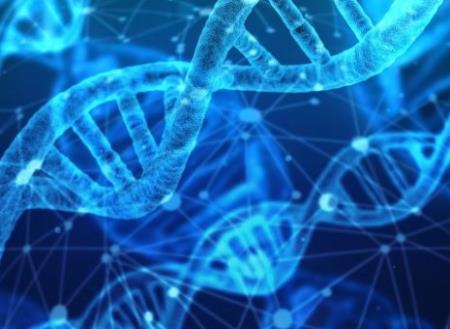 Vai trò tiềm tàng của chuỗi 'DNA rác' trong quá trình lão hóa, ung thư