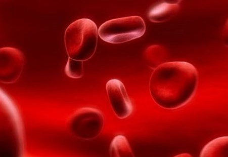 Các thành phần miễn dịch và đông máu trong máu có thể góp phần vào chứng rối loạn tâm thần