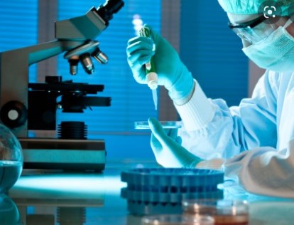 Các tế bào ung thư đơn lẻ có sự thèm ăn khác nhau đối với axit béo