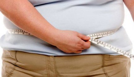 Nghiên cứu cho thấy mối liên hệ còn thiếu giữa chế độ ăn nhiều chất béo, hệ vi sinh vật và bệnh tim