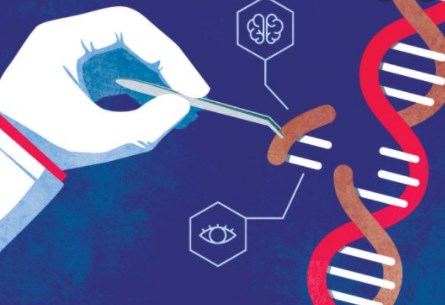 RNA được sửa đổi cải thiện việc nhắm mục tiêu gen cho các công cụ và liệu pháp CRISPR thế hệ tiếp theo