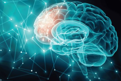 Cái gì kiểm soát nhận thức?