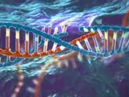 Đột phá trong việc sử dụng CRISPR-Cas9 để nhắm mục tiêu các tế bào mỡ