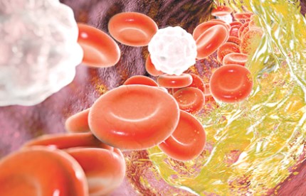 Phương pháp điều trị tiềm năng cho các bệnh chuyển hóa.