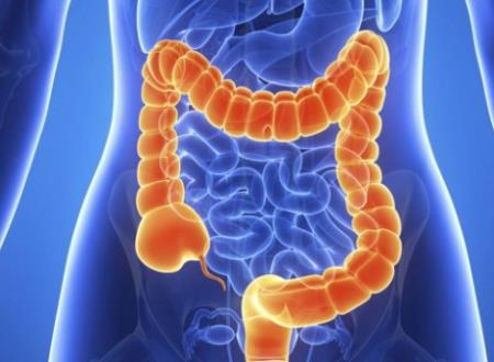 Tế bào thần kinh ruột cảm nhận cơn đau bảo vệ chống lại chứng viêm