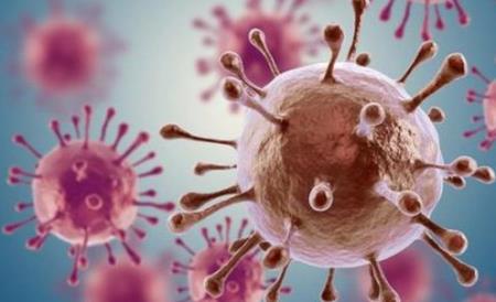 Quy trình mới được phát hiện giúp tăng tốc các tế bào miễn dịch