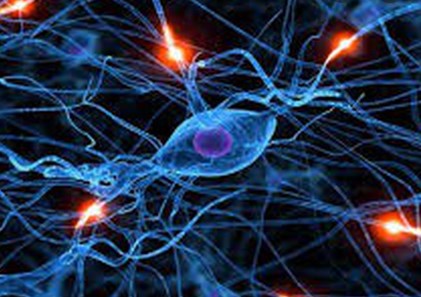 Máy đo bức xạ phát hiện một yếu tố góp phần quan trọng gây ra các bệnh thần kinh 